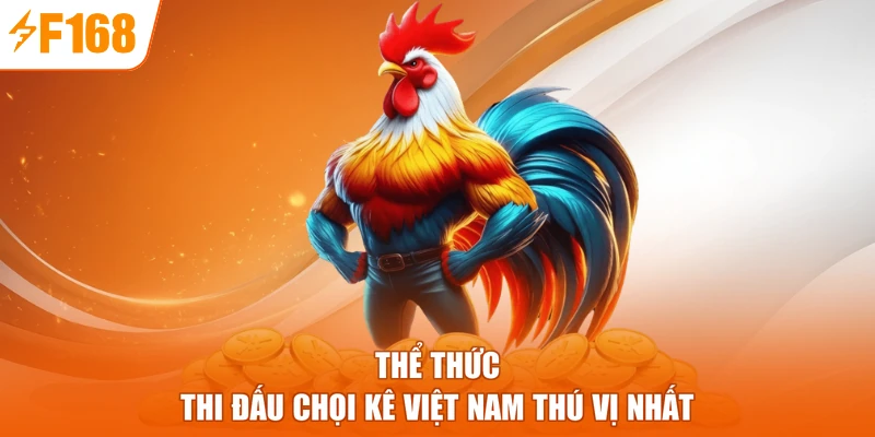 Thể thức thi đấu chọi kê Việt Nam thú vị nhất